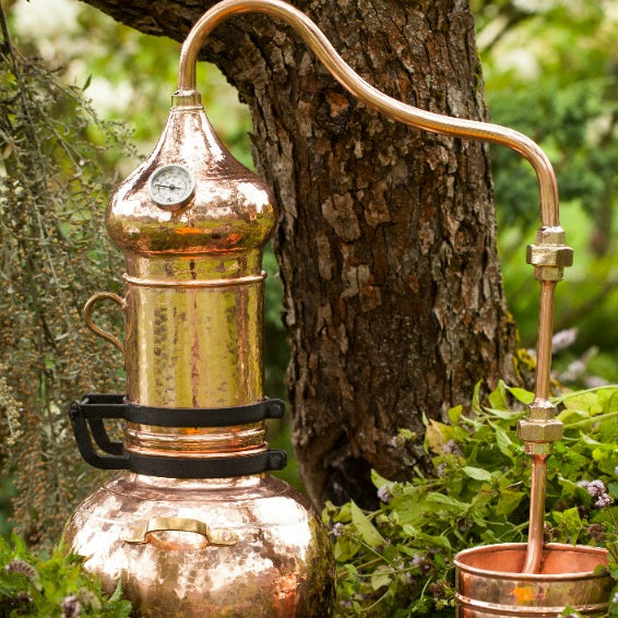 Comparison of extraction and distillation methods in essential oils