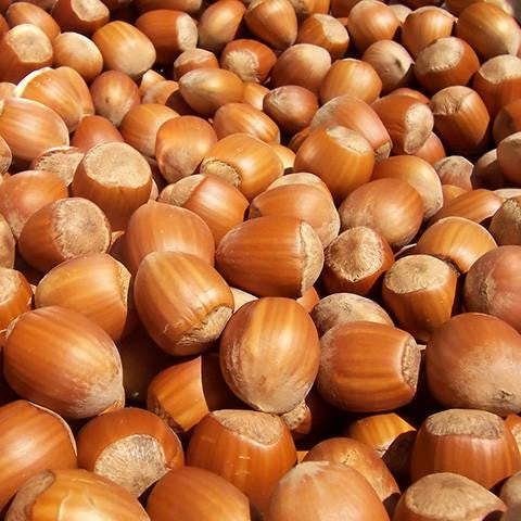 Hazelnut Oil - Australia