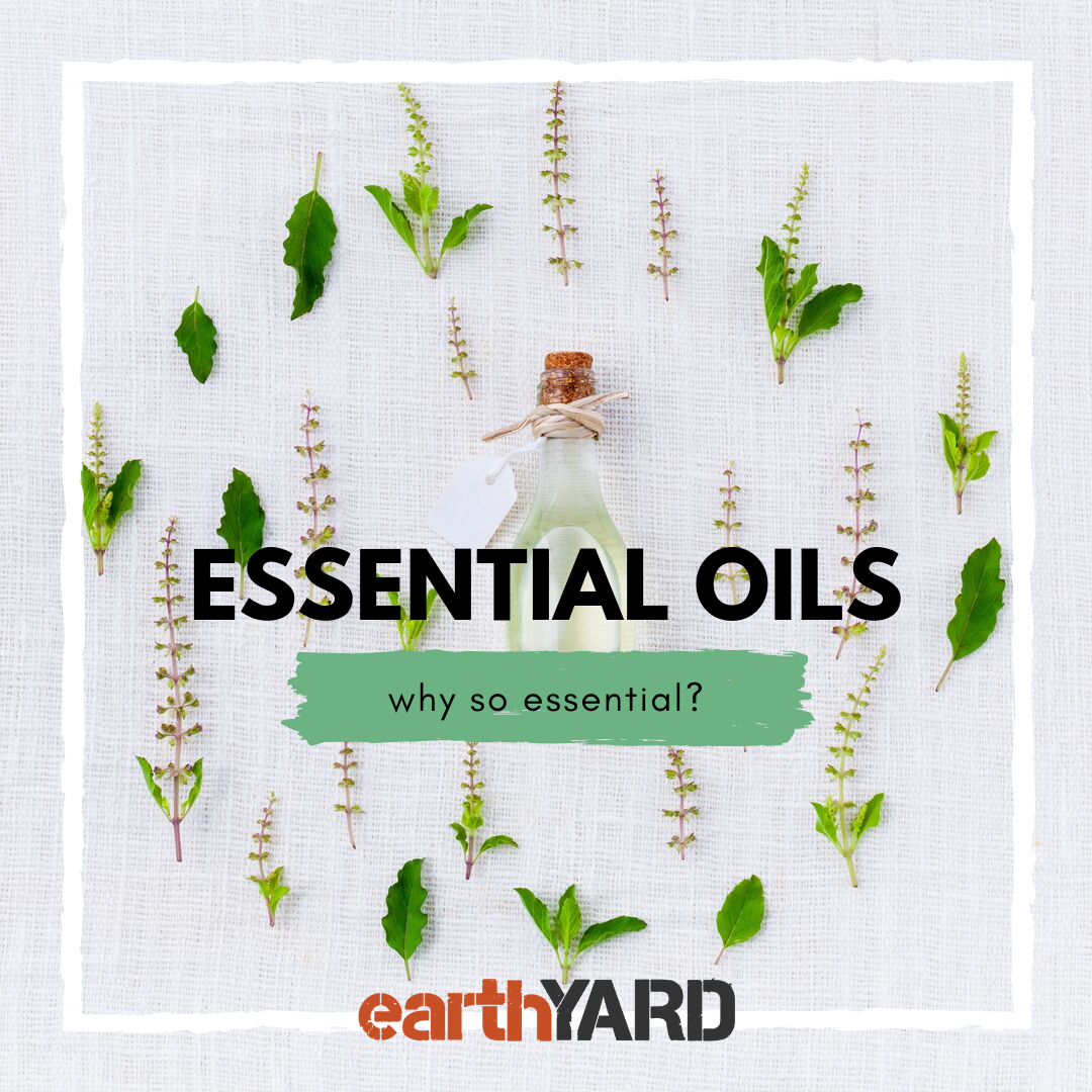 Essential Oils - why so essential? - earthYARD
