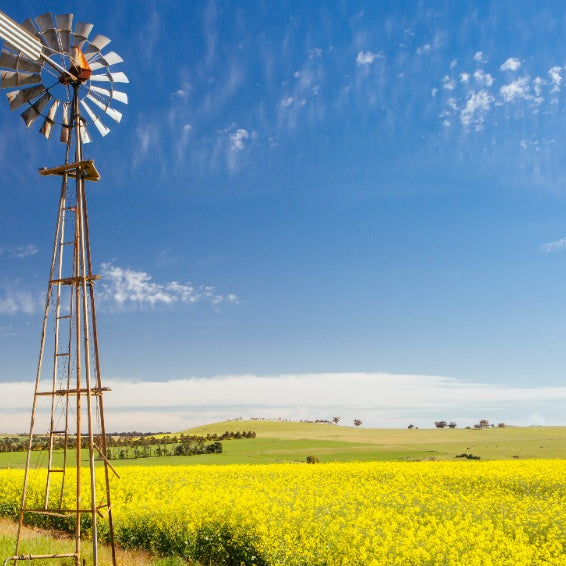 Emerging Australian Rural Industries