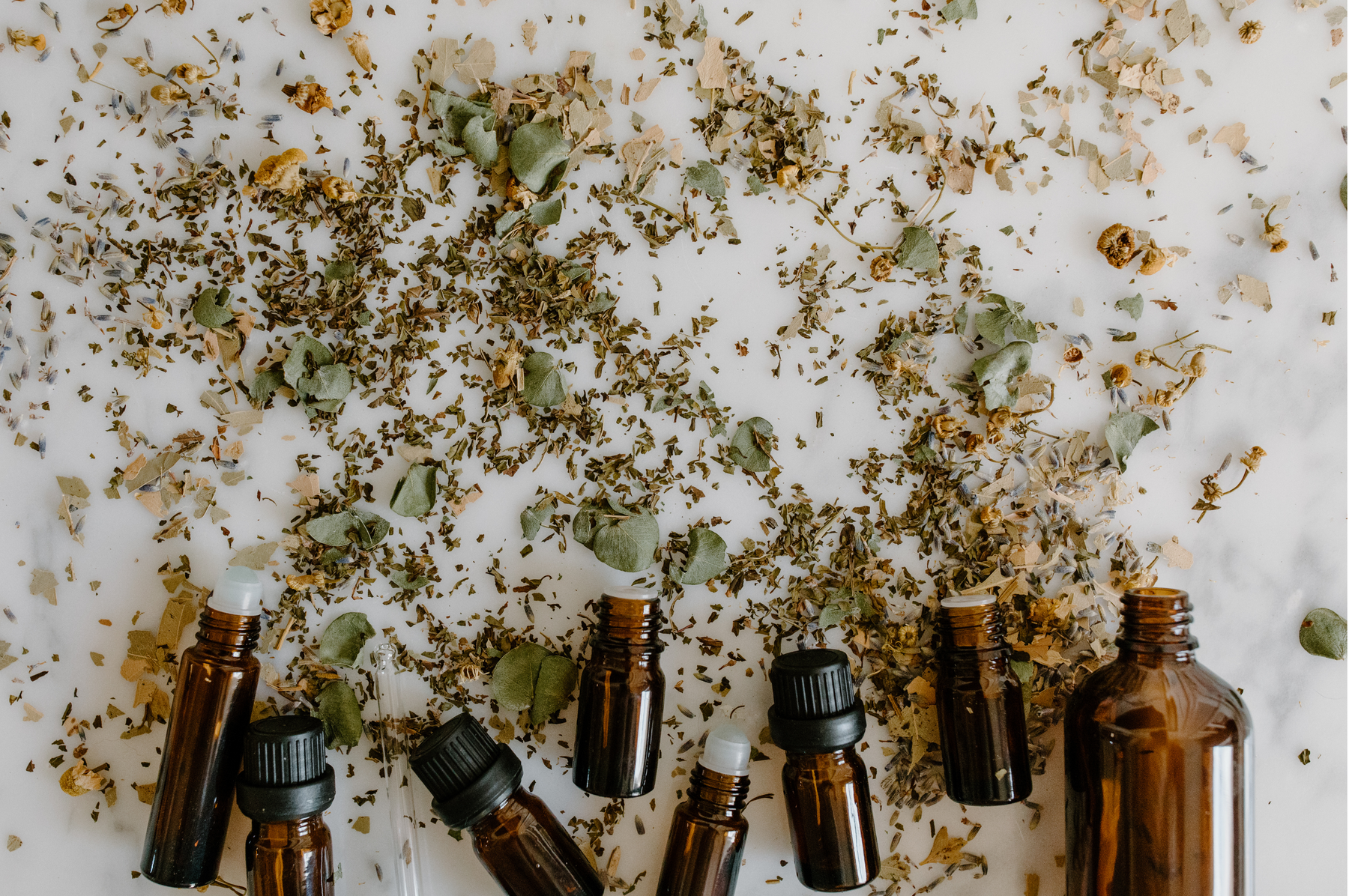 Introduction to Australian essential oils in aromatherapy
