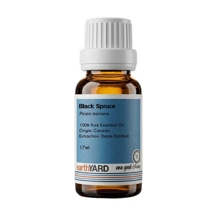 Black Spruce Oil - Canada