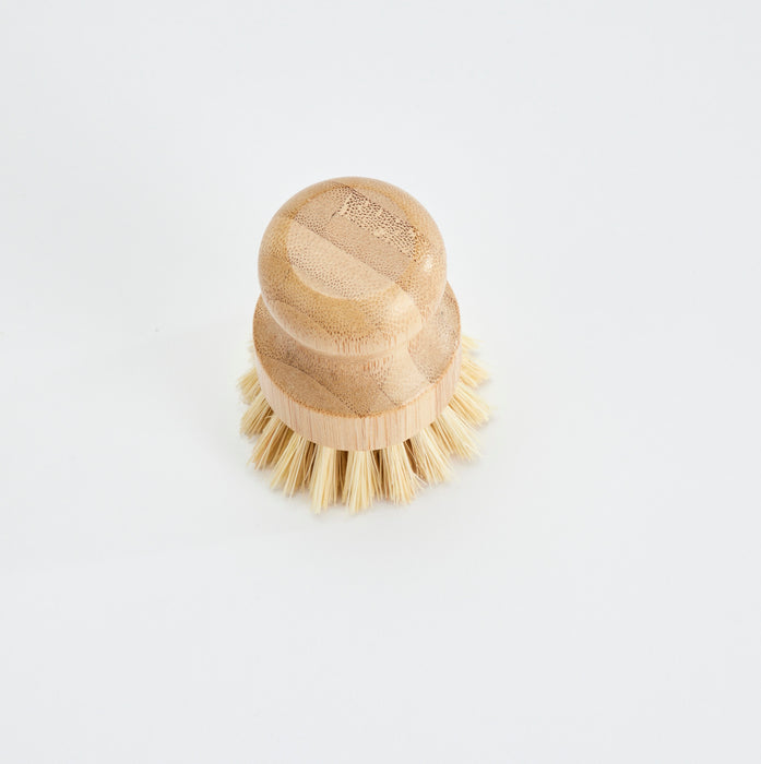 Dish Cleaning Brush