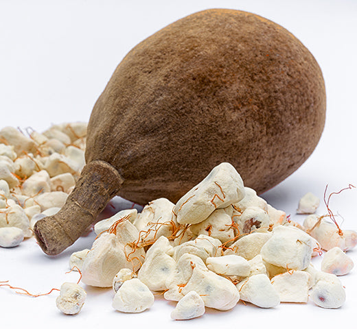 Baobab Oil - West Africa