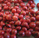 Pink Peppercorn Oil - Australia